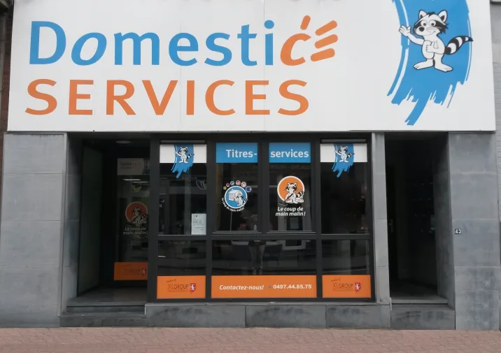 Domestic Services Tamines